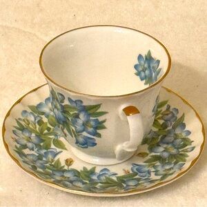 Crown Trent Staffordshire England Multi Colored Roses Cup & Saucer Set